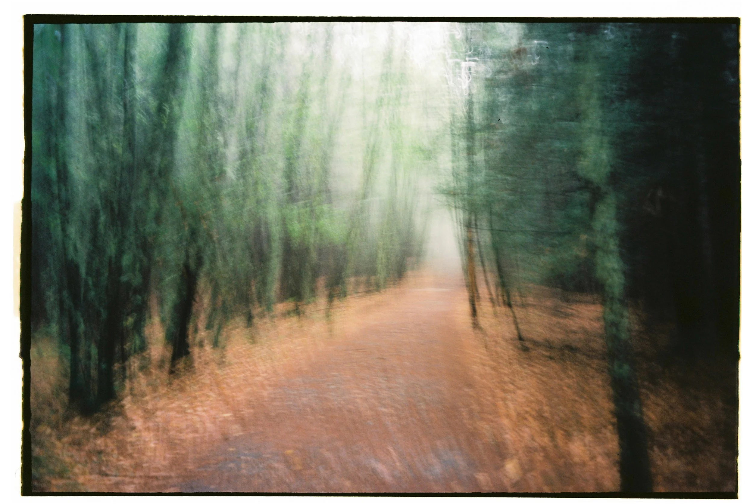 4 — SASHA PHYARS-BURGESS